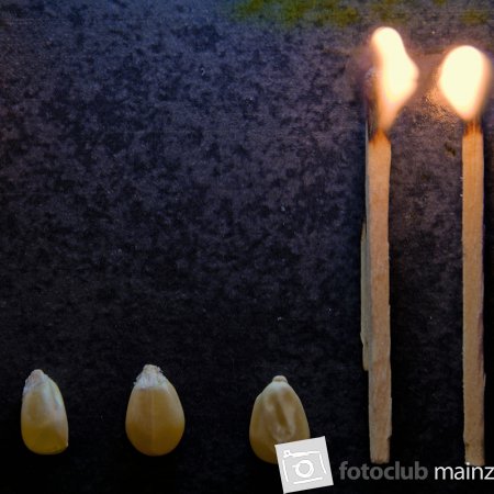 2025 Ausstellung &quot;70 Jahre Fotoclub&quot; - Michael Weisenberger: &quot;70 Jahre Fotoclub&quot;